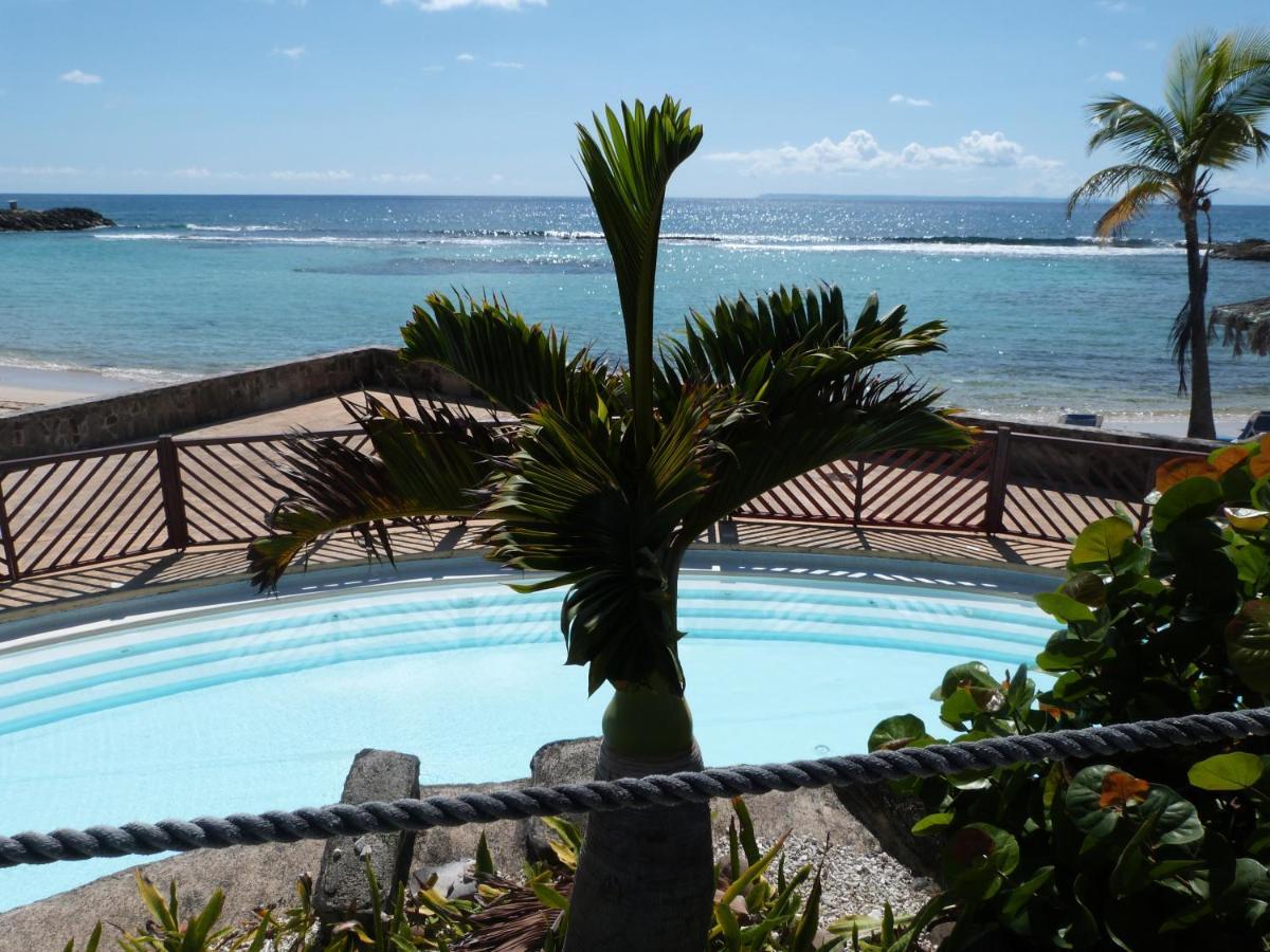Studio Vue Mer Piscine Plage Kaz Punch Manganao Chez Julie Saint-Francois  Bagian luar foto