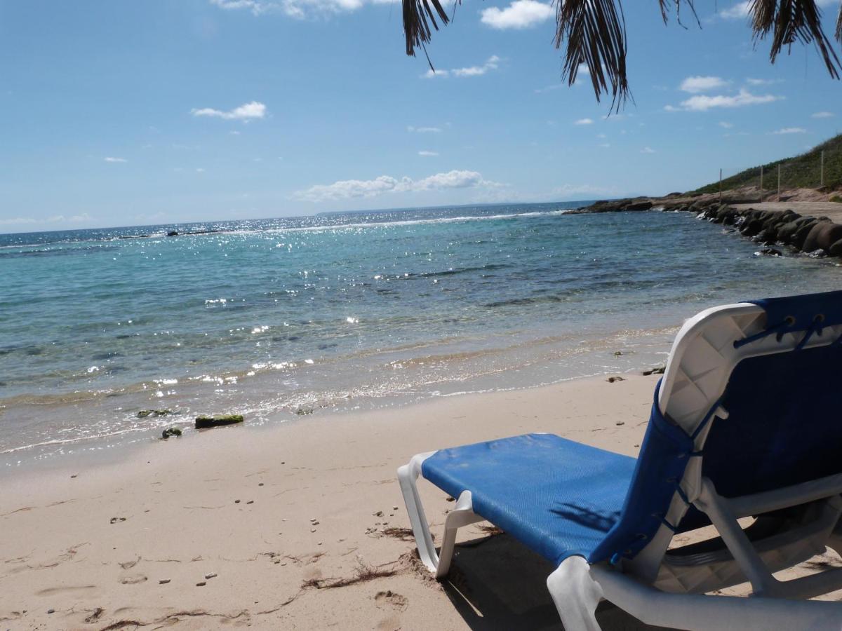 Studio Vue Mer Piscine Plage Kaz Punch Manganao Chez Julie Saint-Francois  Bagian luar foto
