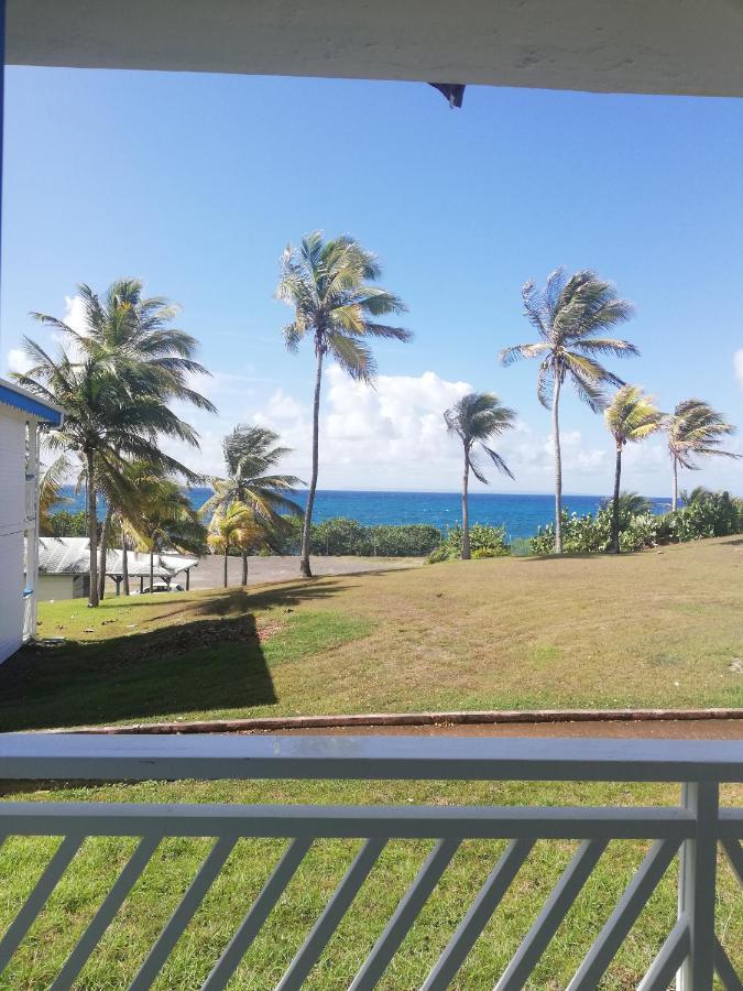 Studio Vue Mer Piscine Plage Kaz Punch Manganao Chez Julie Saint-Francois  Bagian luar foto