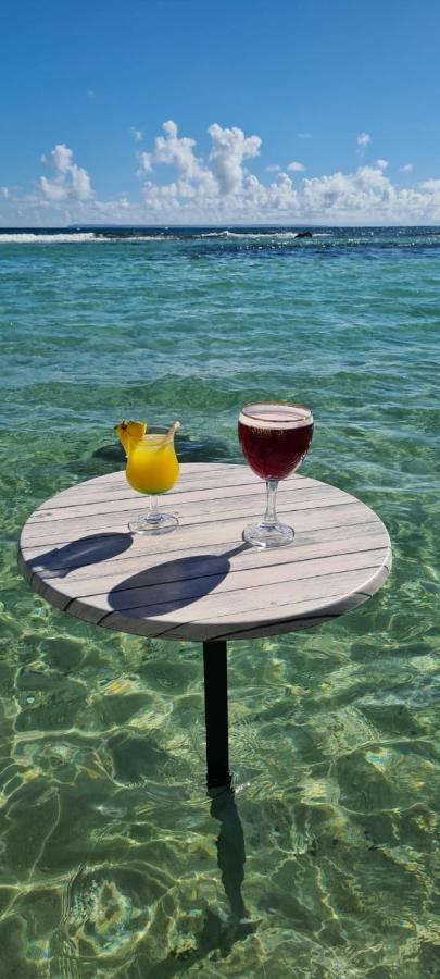 Studio Vue Mer Piscine Plage Kaz Punch Manganao Chez Julie Saint-Francois  Bagian luar foto