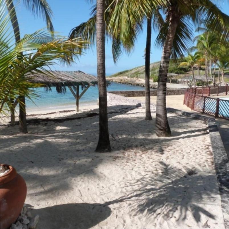 Studio Vue Mer Piscine Plage Kaz Punch Manganao Chez Julie Saint-Francois  Bagian luar foto